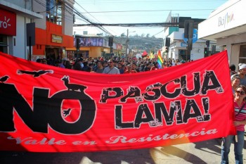 Protesta contra proyecto Pascua Lama (Fuente: veoverde.com)