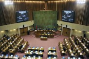 Camara de Diputados 1