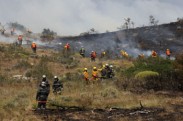 Incendio Torres del Paine