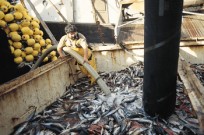 portada-pesca3