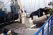 portada-pescaperuhumo