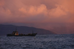 portada-pescauno