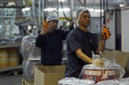 Trabajadores EDELPA