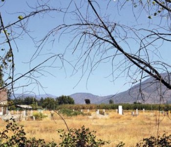 Terrenos de CAVAL en Machalí