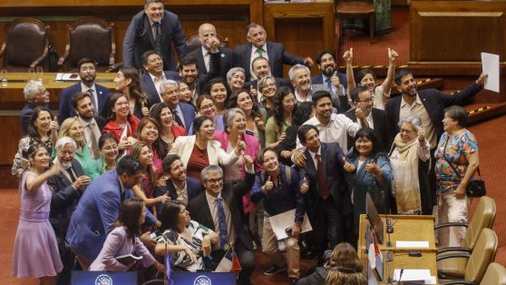 Testimonio sobre la reforma de pensiones: el tema previsional sigue en deuda