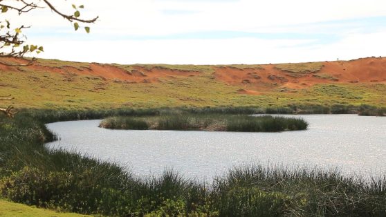 Protección de humedales en Chile: Una discusión vital