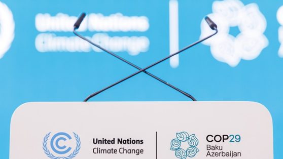 Finalizada la COP29 reflexionemos sobre costos, beneficios y formas de activarnos