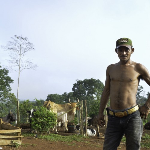 Un habitante de la comunidad conocida como Polo de Desarrollo, en Punta Gorda, Caribe sur de Nicaragua. Carlos Herrera/Confidencial.