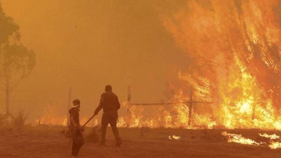 Mega incendios: el historial de omisiones de las autoridades que abonó la tragedia