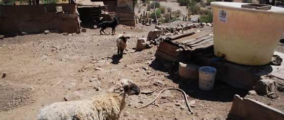 La naturaleza política de la sequía en Petorca