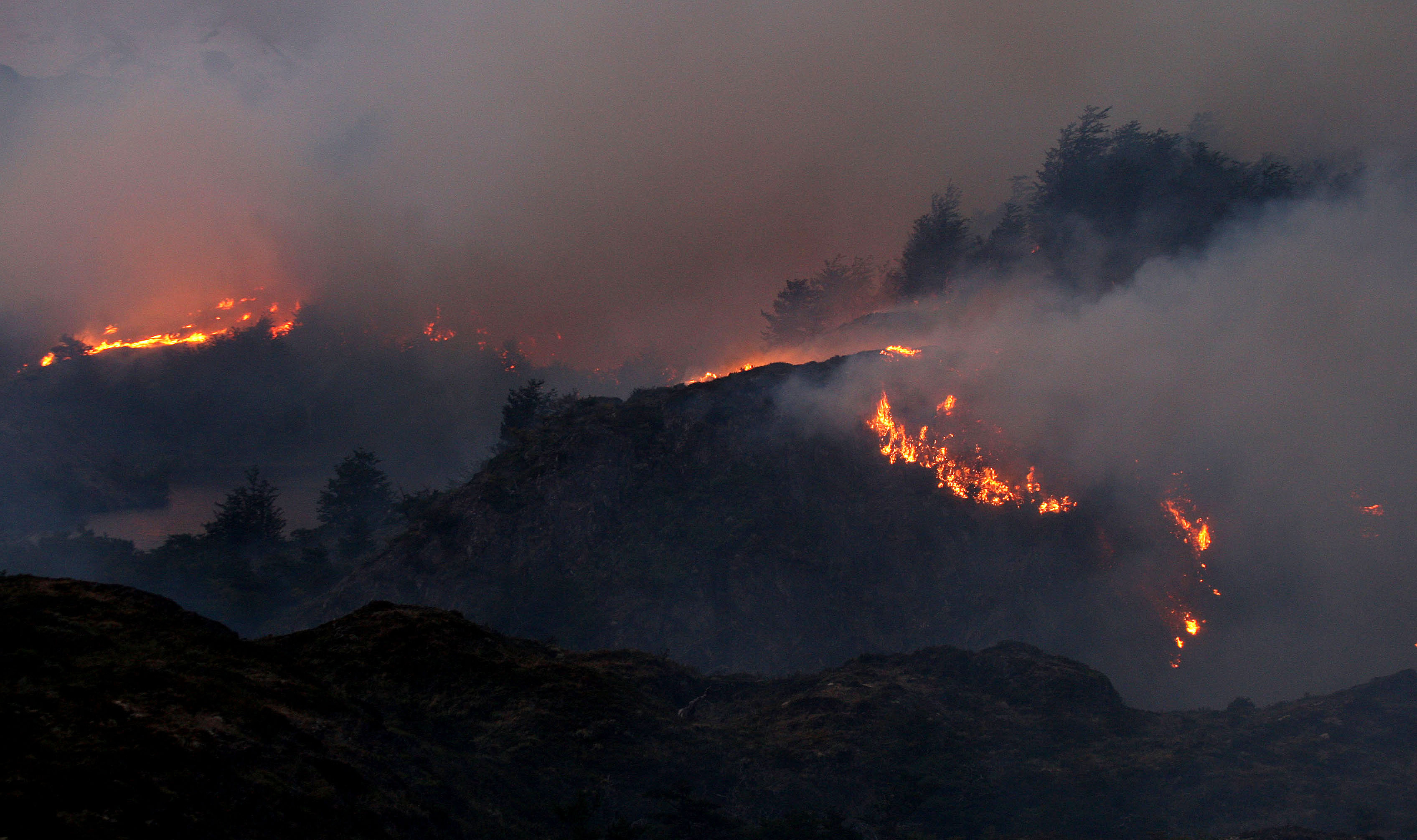 Incendio Torres del Paine - CIPER Chile